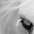 Kathleen Oakley's profile image