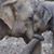 Sandy Miller's profile image
