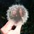 Zac Carey-Agho's profile image