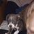Miracle Lin Webb's profile image