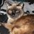 Rhonda Leitner's profile image