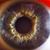 Richard H Hickson's profile image