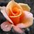 Lana Zinn Sandlin's profile image
