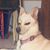 Jessica Lueck's profile image