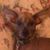 Adina Fisher's profile image