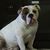 Gordon Lee Miller's profile image