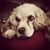 Mariely Febles's profile image