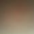 Tim Seeds's profile image