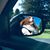 Amber Kiskis's profile image