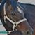 Melinda Dovre's profile image