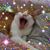 Elizabeth Jacques's profile image