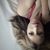 Tess Echanis's profile image