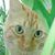 MarlenaandBennie Lau's profile image