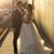 Shannon Fleischman's profile image