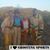 Arleen Lonning's profile image