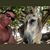 BigMike Anthony's profile image