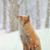 Karen Prescott Copeland's profile image