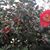 Judy Patterson's profile image