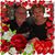 Madelyn Flaherty's profile image