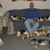 David Meade's profile image