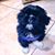 Kevin Madureira's profile image