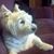 Patti Shaw's profile image