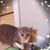 Amy Walthall's profile image