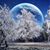 Pam Hedges's profile image