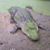 Rebecca Hankins's profile image