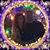 Stormie Kay Hand's profile image