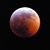 Karen Boyce's profile image