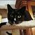 Joanie Alex Gohr's profile image