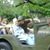 Sheila Hampton's profile image