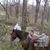 Jamie Jacobs's profile image