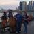 Patricia Alcocer's profile image