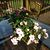 Susie Fiskness's profile image