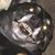 Nathan Gupton's profile image