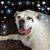 Tricia Price's profile image
