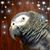 Amy Cramer's profile image