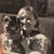 Marianne Merlot's profile image