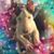 Margaret Leggerini's profile image