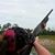 Kerri Gogolin's profile image