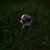 Joe Storsin's profile image