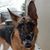 Jonathan Rosche's profile image