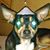 Dave Jones's profile image