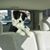 Bill Safranski's profile image