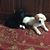 Tammie Scheib's profile image