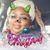 Patricia Simms's profile image