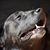 Kim Brater's profile image