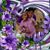 Tiffany Sammons's profile image